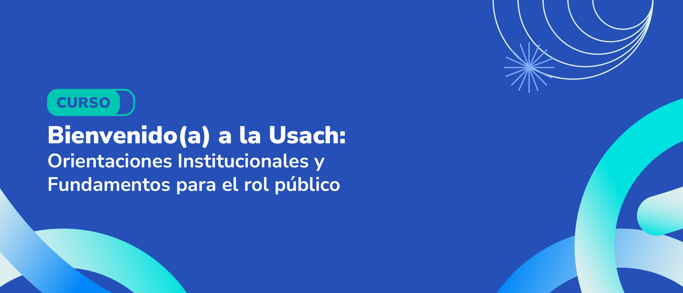 Bienvenido(a) a la Usach: Orientaciones Institucionales y Fundamentos para el rol público