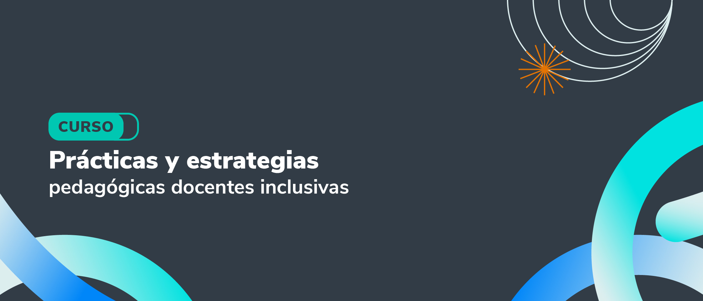 Prácticas y estrategias pedagógicas docentes inclusivas