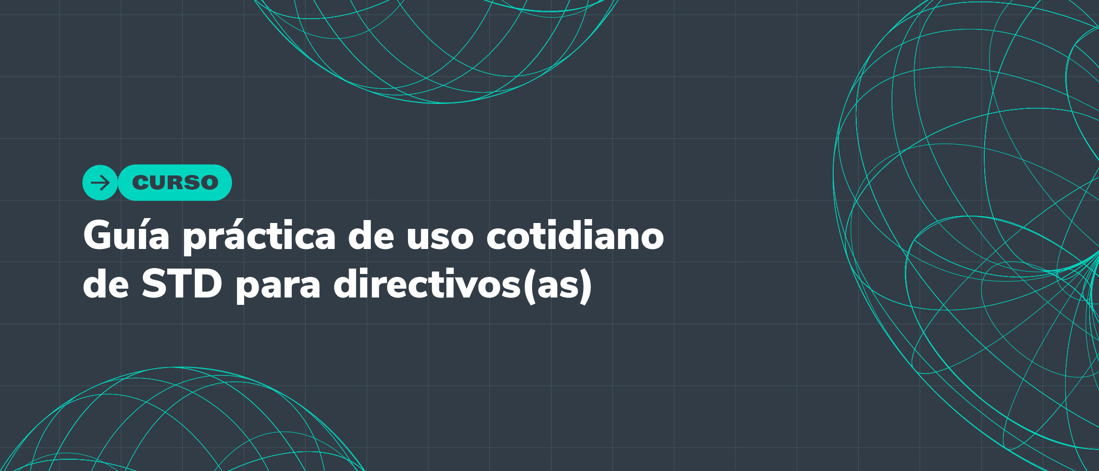 Guía práctica de uso cotidiano de STD para directivos(as)