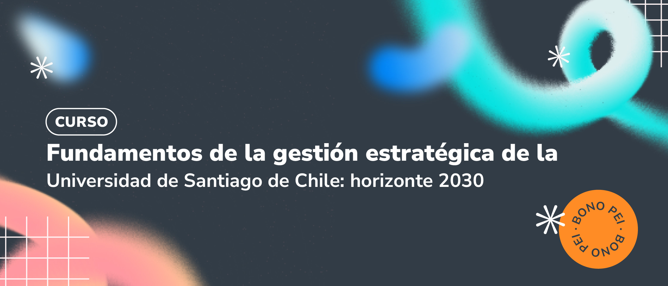 Fundamentos de la gestión estratégica de la Universidad de Santiago de Chile: horizonte 2030