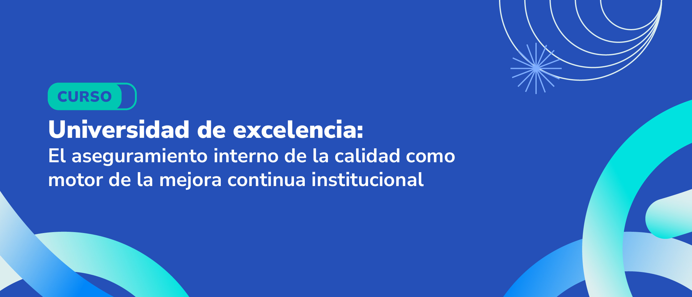 Universidad de excelencia: el aseguramiento interno de la calidad como motor de la mejora continua institucional